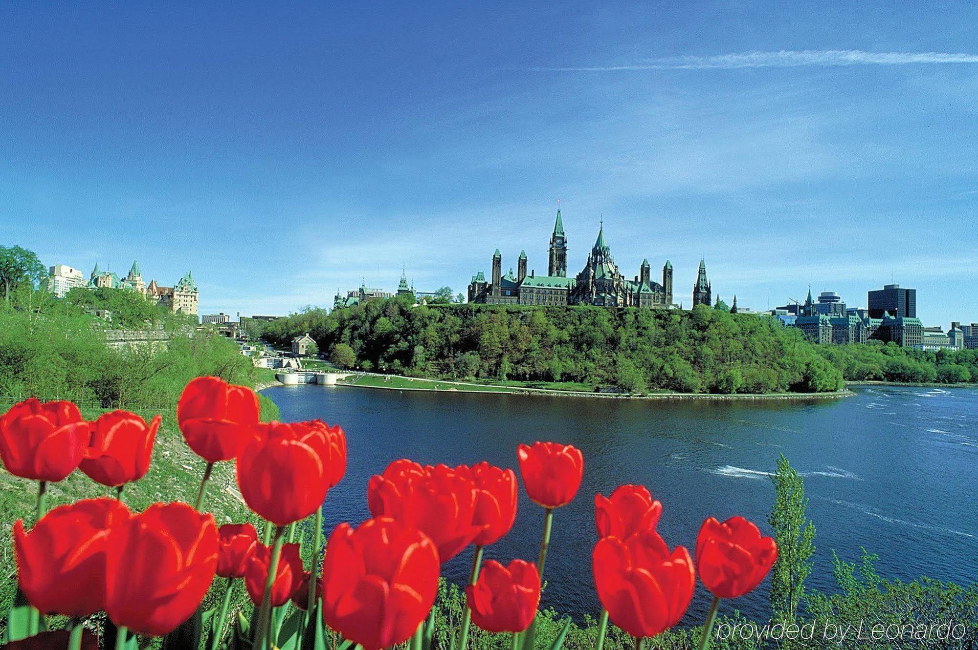 Cartier Place Suite Hotel Ottawa Kültér fotó